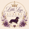 Little Legs Luxury Dachshunds
